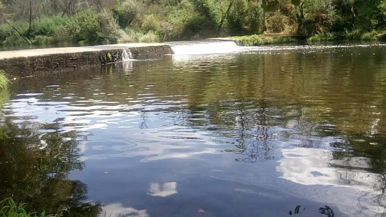 Retiro Na Natureza Casa Com Piscina Holiday home