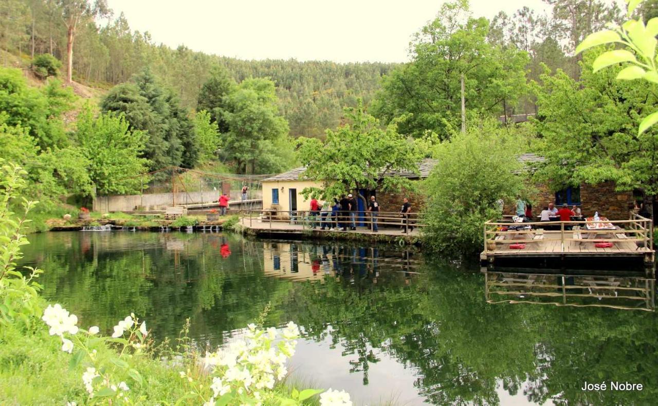 Retiro Na Natureza Casa Com Piscina Digueifel